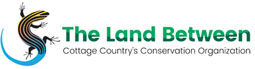 land between logo